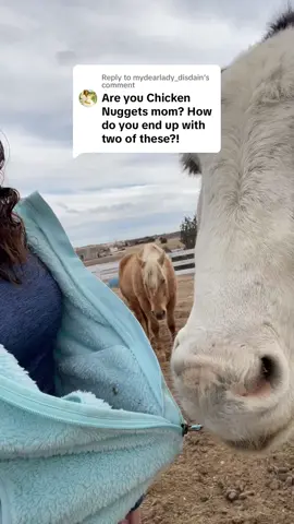 All of the chaos is mine 🙃