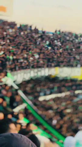 ⚫️🥁🟢 #كورفا_سود #فلام_بويز💚🔥 #ahly_love #التراس_اهلاوي #flame_boys🇳🇬 #ليبيا🇱🇾 