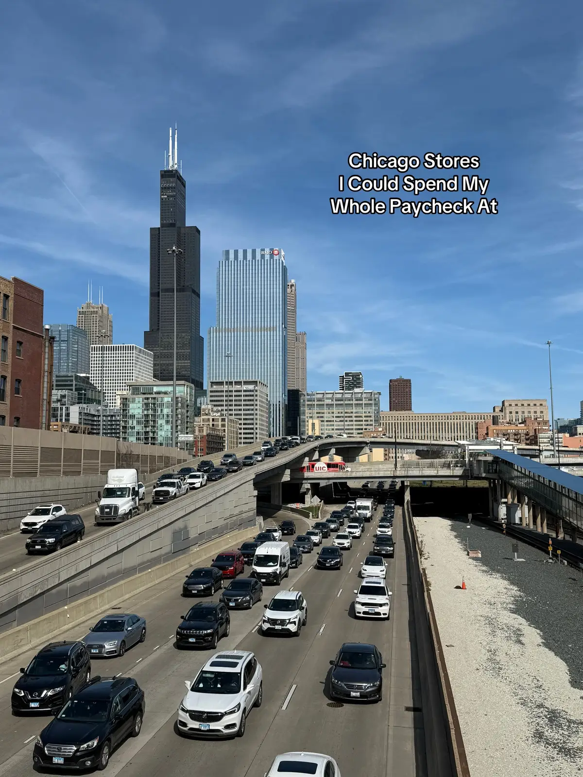 I lose my concept of “saving money” whenever I step foot into the Chicago shops #chicagotiktok #chicagoshops #chicagostore #chicagoshopping #chicagofashion #chicagostyle #chicagorecommendations #chicagobucketlist #thingstodoinchicago #explorechicago 