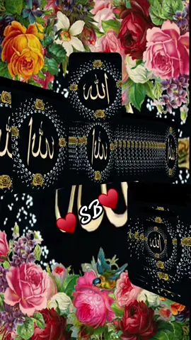 #foryou #viral_video #fypシ #islamic_video #foyoupage #quranrecitation♥️🕋 #growmyaccount✅♥️♥️♥️ #muslimtiktok 