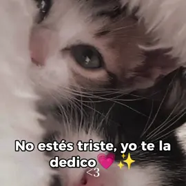No estés triste yo te la dedico 💗 #capcuttrend #capcut_edit #sanlucas #kevinkaarl #fypシ゚ 