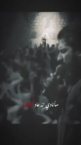 سأنادي انه عاد محرم . . . . #ملا #سجاد_المحمداوي #اللهم_عجل_لوليك_الفرج #محرم #١٤٤٧  #ياحسين #creatorsearchinsights #اسم_الحسين #fyp #شور #اكسبلور 