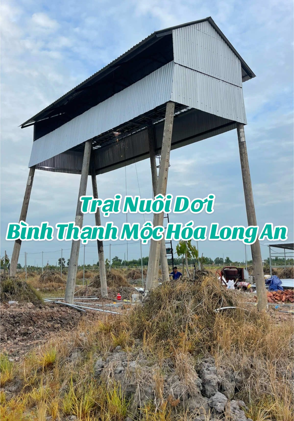 #minhtoànnhàdơi #ChuyênThiCôngLắpĐặtTrạiNuôiDơi #xuhuong  @Nhà Dơi Minh Toàn  @Nhà Dơi Minh Toàn  @Nhà Dơi Minh Toàn 