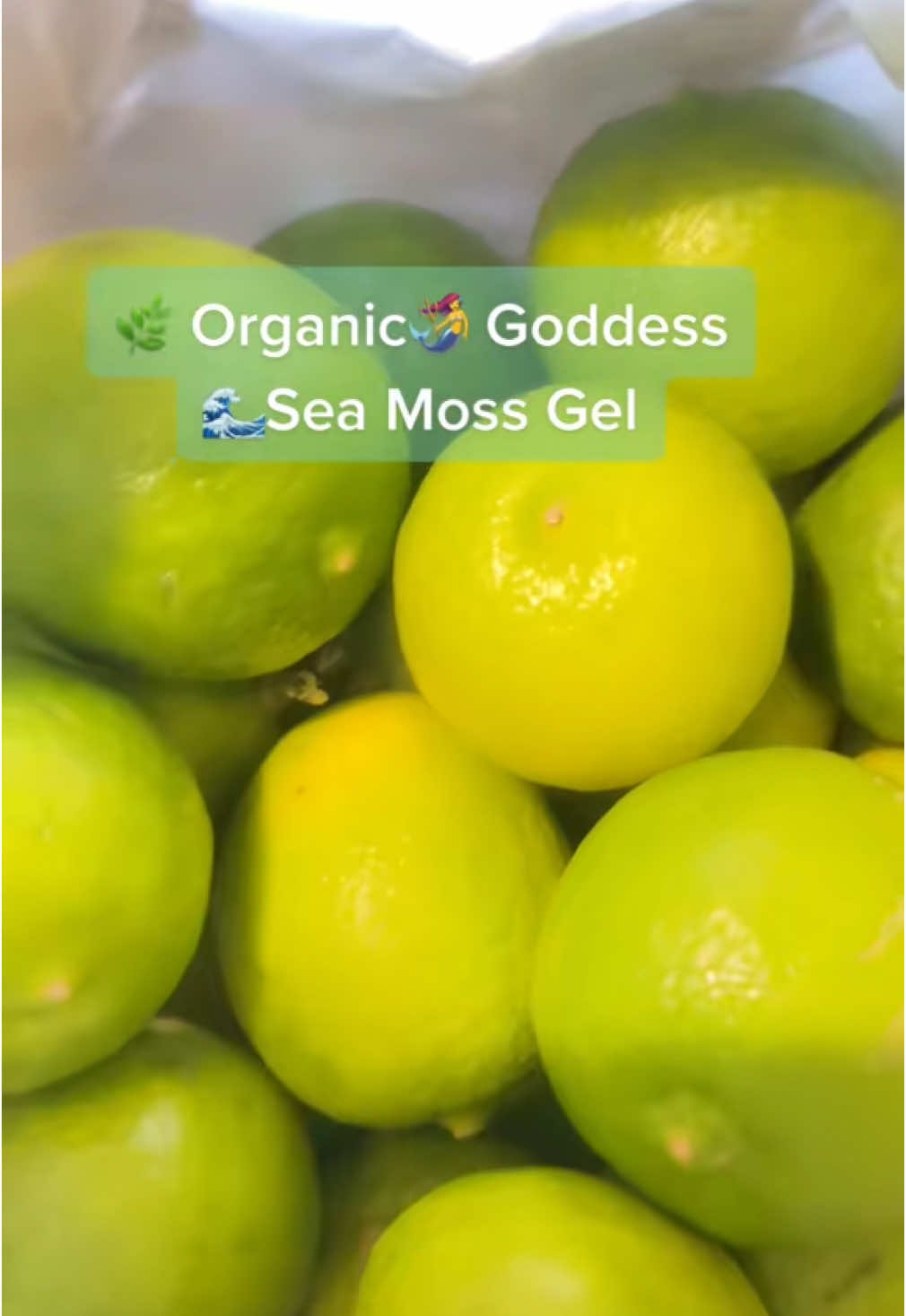 #onthisday  ⸻ Not all sea moss is created equal. At 🍃Organic Goddess Sea Moss Gel, we’re proud to offer top-tier wellness—crafted with love, intention, and nothing but the best. Here’s what sets us apart: • Wildcrafted Organic Sea Moss (never pool-grown) • Fresh Organic Key Limes for enhanced nutrient absorption • Alkaline Water for optimal pH balance • Glass Jars only – no plastics, no toxins • Made Fresh Daily in small batches • Double-Tested for quality & purity before it reaches you Your body deserves the highest vibration fuel—and we deliver just that. Glow from the inside out. Nourish your cells. Elevate your energy. Shop now or message us to order! #OrganicSeaMoss #SeaMossGel #WildcraftedSeaMoss #AlkalineLiving #KeyLimeSeaMoss #GoddessGlow #DetoxNaturally #VeganWellness #ImmunityBooster #MineralRich #GlassJarOnly #SmallBatchWellness #CellFood #PlantBasedHealing #OrganicGoddessSeaMoss #MadeFreshDaily ⸻