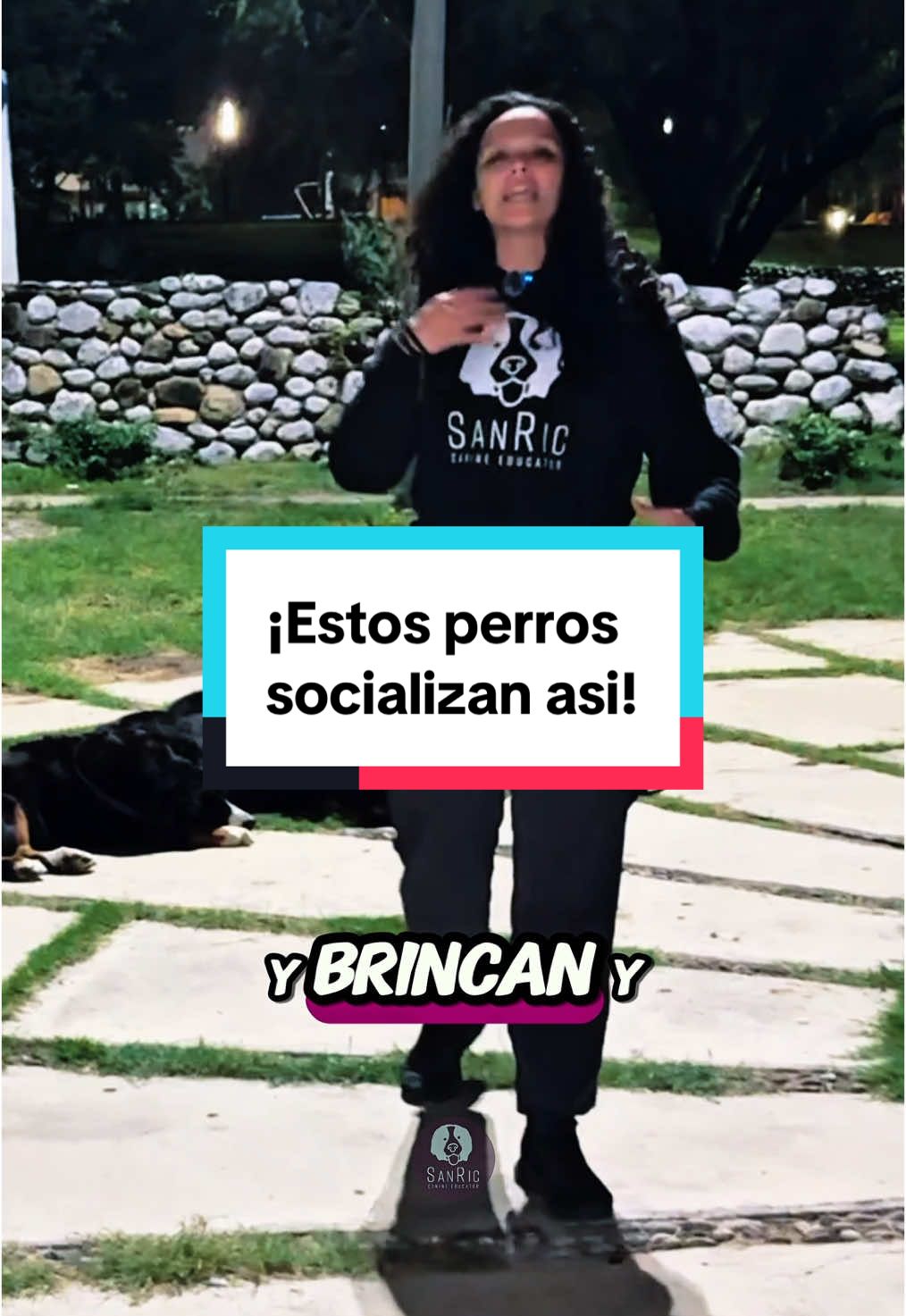 Socializar no significa que nuestros perros esten jugando y brincando siempre con otros. Socialización canina también es que ellos estén tranquilos en un solo lugar, así como lo estás viendo. Esto es algo que debes enseñar a tu perro y más si es una raza poderosa, es parte de tener un adiestramiento canino equilibrado 😎 ¿Tú perro se la pasa jugando o está tranquilo? #adiestramientocanino #educacioncanina #lenguajecanino #sanriccanineducator #adiestradorcanino #perrosequilibrados #akitaamericano #canecorso #bernesemountaindog #pitbullmestizo 