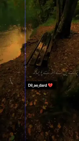 Dil_ae_dard 💔 💔 🖤 #explorepage #trending #t#fypage 