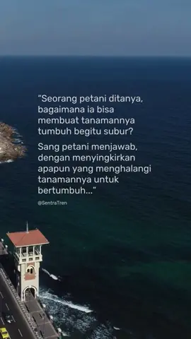 Tumbuh itu bukan soal pupuk saja, tapi juga membasmi hama. #pelajaranhidup #katahikmah 