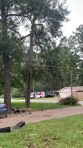 DIY gone wrong #tree #cut #cutting #treeservice #car #fedex #lol #reel #trend #trending #viral #facebook #tiktok #tiktokindia #fall #crush #followme #DIY 
