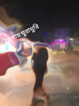 মেলায় ঘুরাঘুরি 