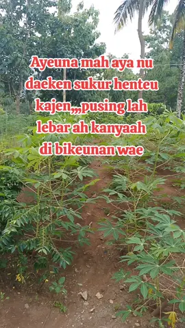 lebar kanyaah di bikeunan #storysunda #fypシ゚ #fypppppp #tthsunda 
