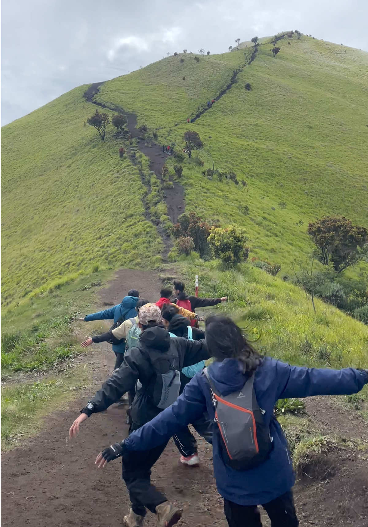 Definisi lari sesungguhnya🍃 #fyp #pendakigunung #pendaki #merbabu #merbabuviasuwanting 