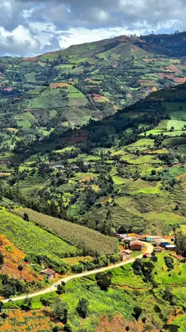 😍🍃❤️‍🩹 #paisajesperuanos🇵🇪🏞🍂 #huanuco_perú❤️ #paisajes #pachitea_panao😊🇵🇪❤ #CapCut #estadoparawhatsapp #viajes #peru🇵🇪 