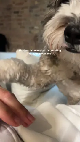 He’s like get off that damn phone