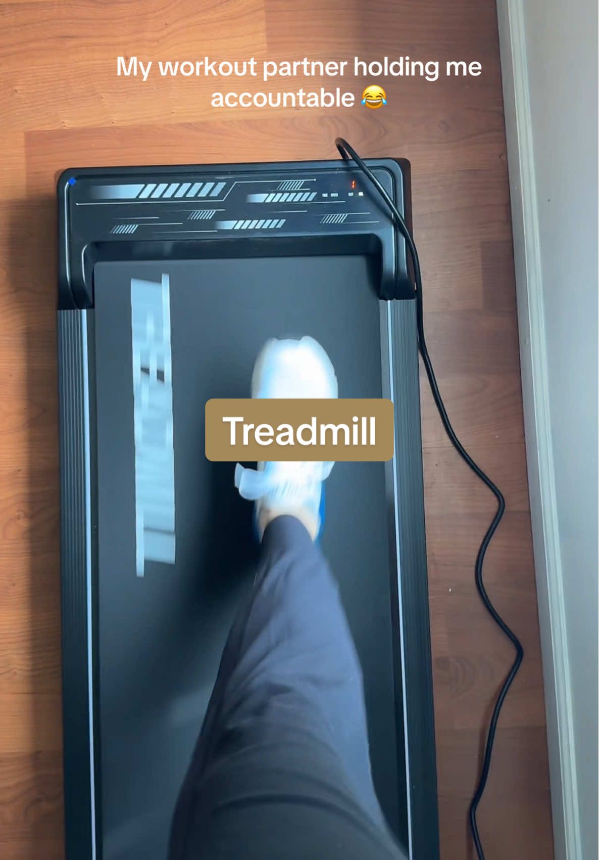 He’s very invested in this fitness journey 😂 #treadmill #treadmillworkout #walkingpad #treadmillwalkingpad #walkingpadathome #desktreadmill 