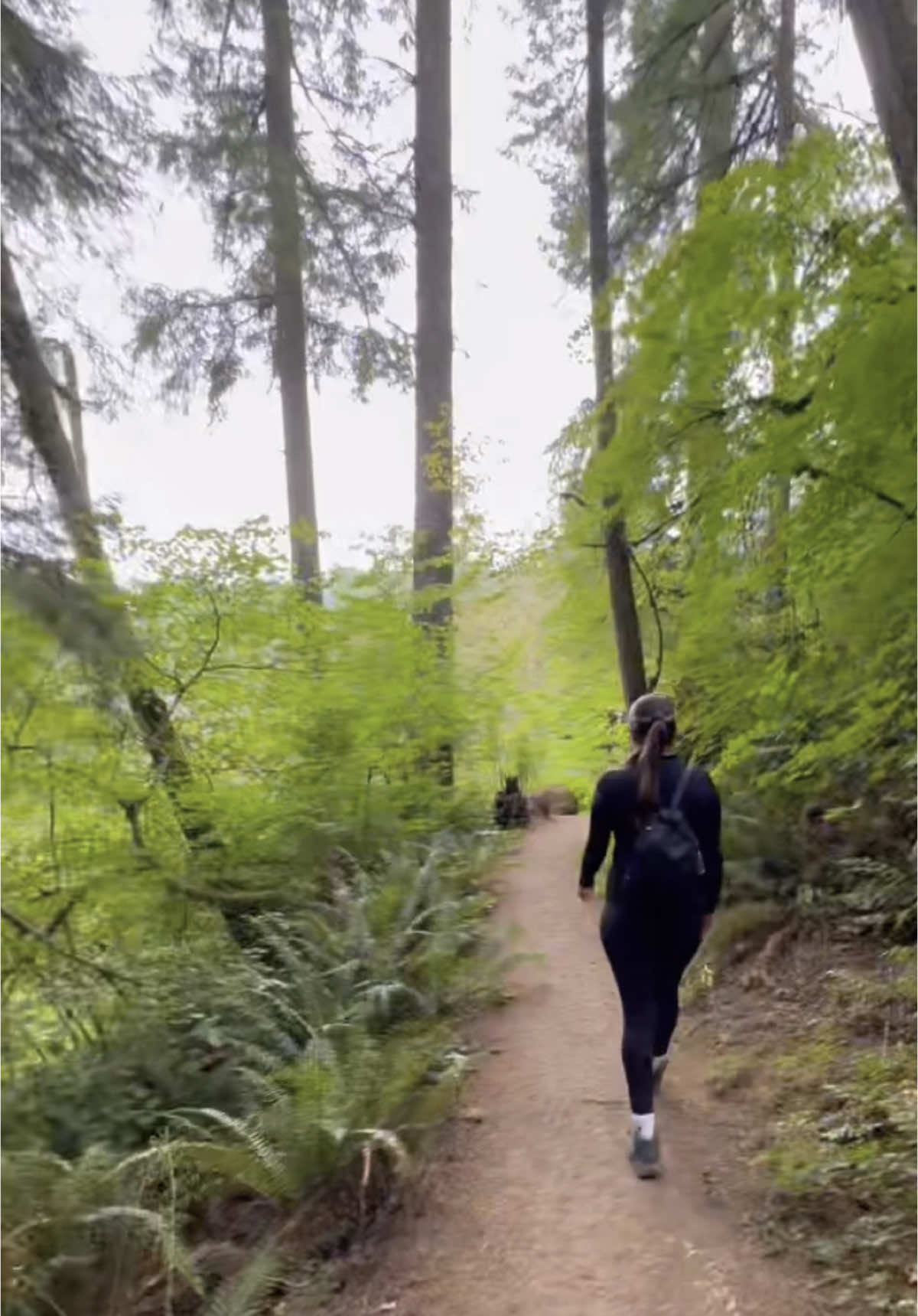 7 days in Oregon 🌲 🏕️💫  #travel #oregon #california #nature #camping #woods #Summer 