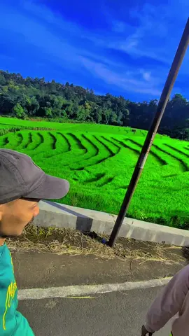 wira wiri golek spot megalodon 🚀🐳#fyp #karanganyar24jam #capcut 