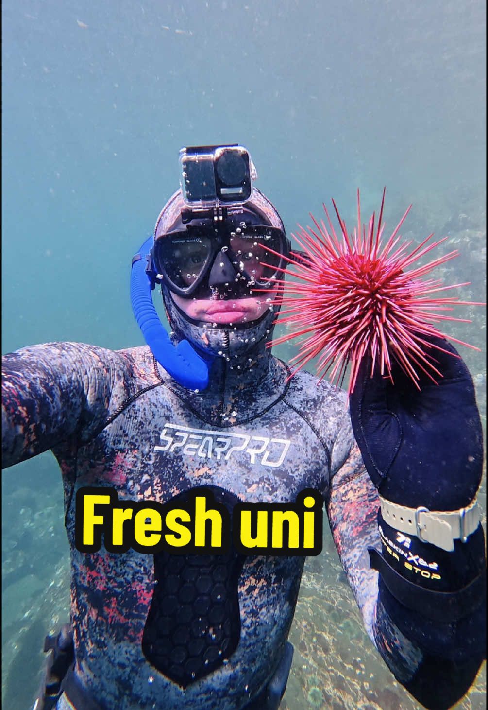 Uni is too good! #uni #seafood #fypage 