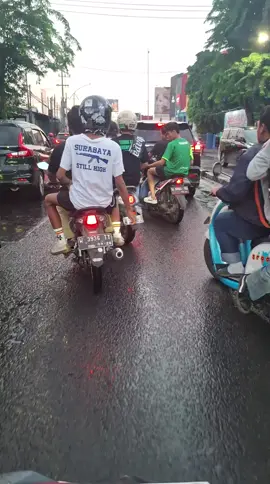 Datang Dengan Suara Lantang Di Tribun Selatan🐊 #tribunselatan #persebayasurabaya #bonekbonita💚🐊 