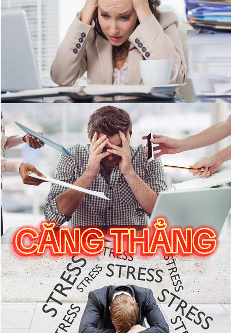 Trà dưỡng nhan, trường thọ hỗ trợ giảm că.ng thẳ.ng, hay quên, mất tập trung, hỗ trợ cải thiện sức khoẻ với 1 ly trà mỗi ngày #suckhoe #suckhoechomoinguoi🍀 #tra #traduongnhan #9vnngiatot #fyp 
