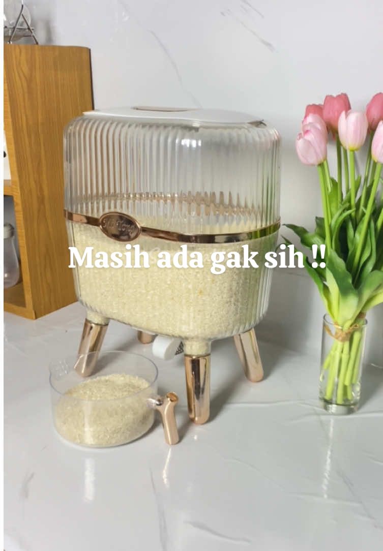 Tempat berasnya aesthetic banget 😍#dispenserberas 