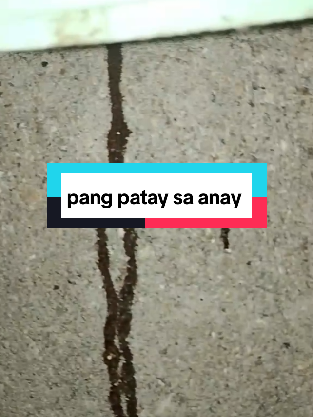 legit mga boss madam 🥹🤗  patay talaga anay pati langgam 👏 ipis. #termiteskillerspray #pangpataysaanay #anay #pesticide 