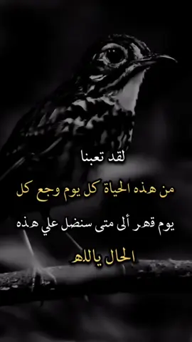 ‏#دويتو مع @ﯛﻃـᷠــͤــͫــͤــꙷـــن |Ỳ𝗠ِ𝙉ِ #عبارات #🤕