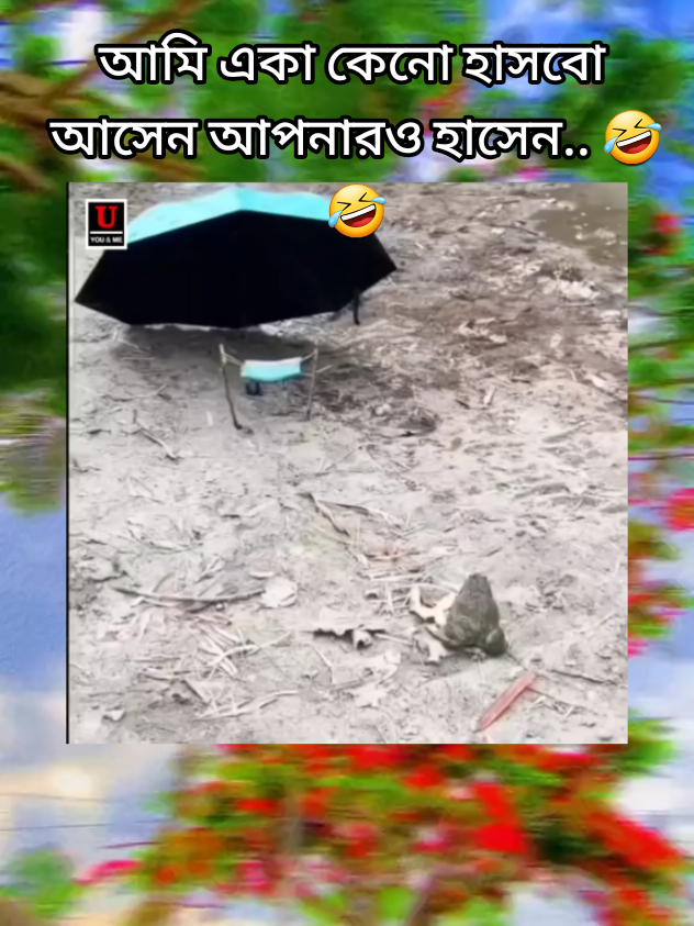 আমি একা কেনো হাসবো আসেন আপনারও হাসেন.. 🤣🤣