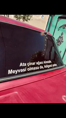 Desdek #kesfet #kesfetdeyi #live #global 