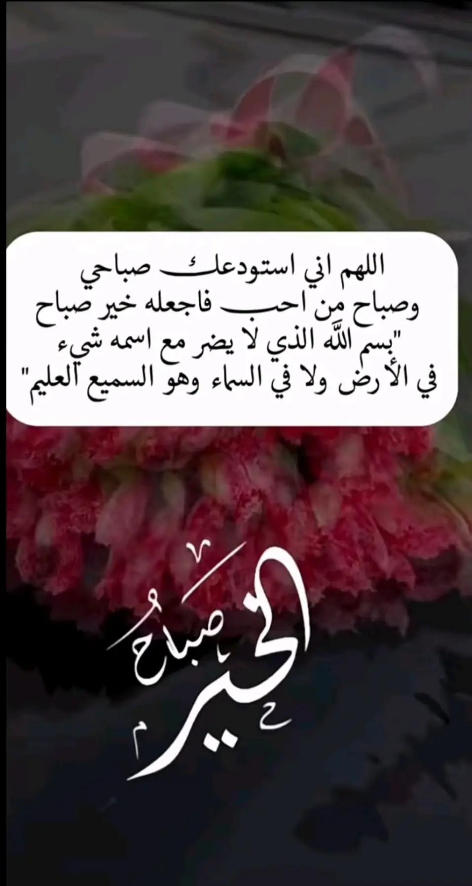 #صباح_الخير💞