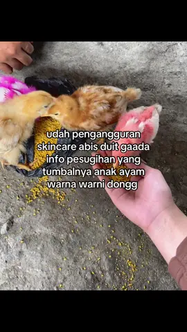 #berandatiktok #lewatberanda 