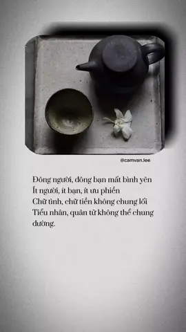 Tiểu nhân, quân tử không thể chung đường #camvanlee 