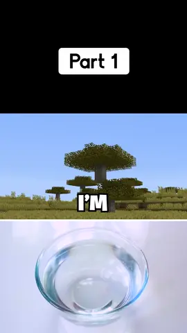 I Made Every Minecraft Texture Realistic using ONLY Google Translate (Part 1) #Minecraft #funny #eystreem #part1 #fyp #minecraftmemes #episode #movieclips