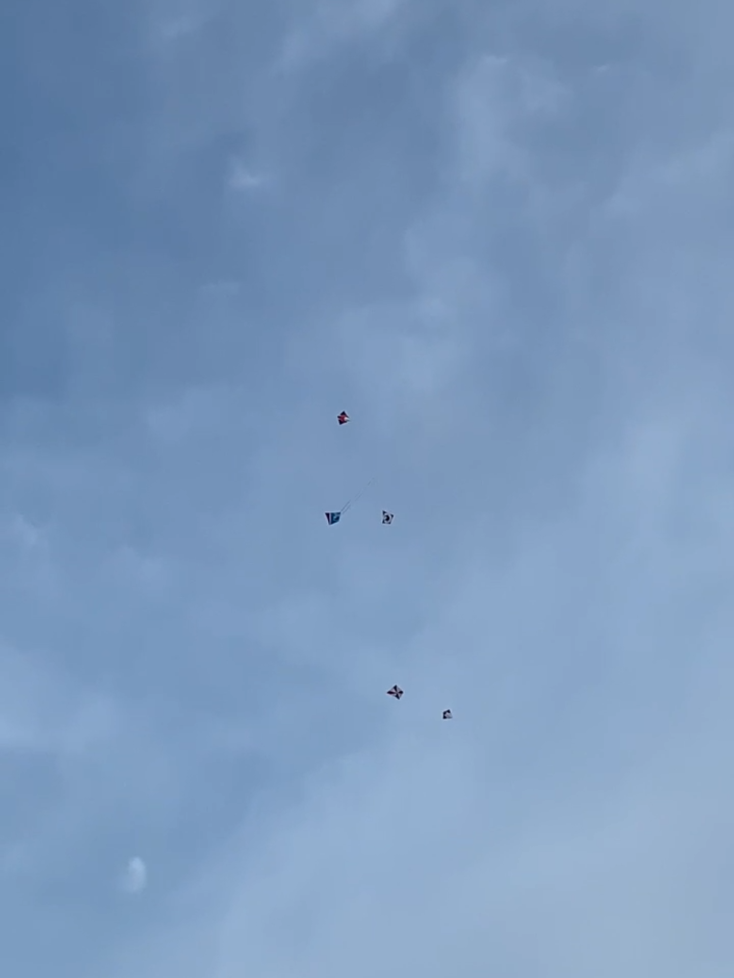 G GaGal #MDM #penyaokpontianak #Penyaok #kelayang #kelayangmempawah #kelayangsintang #kelayangkalbar