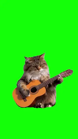 #CapCut Kitten Playing Guitar #fyp #funny #viral #greenscreen #meme #trending #cat #kitten #music #guitar 