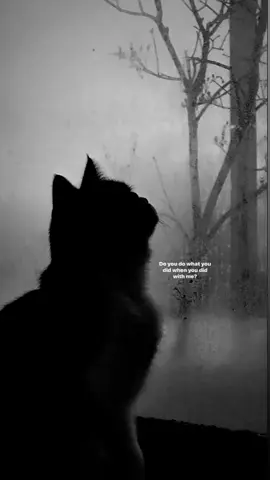 #lyrics 