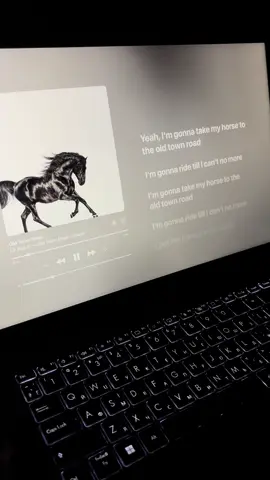 Old town road🎧#oldtownroad #linasx #song #sound #applemusic 