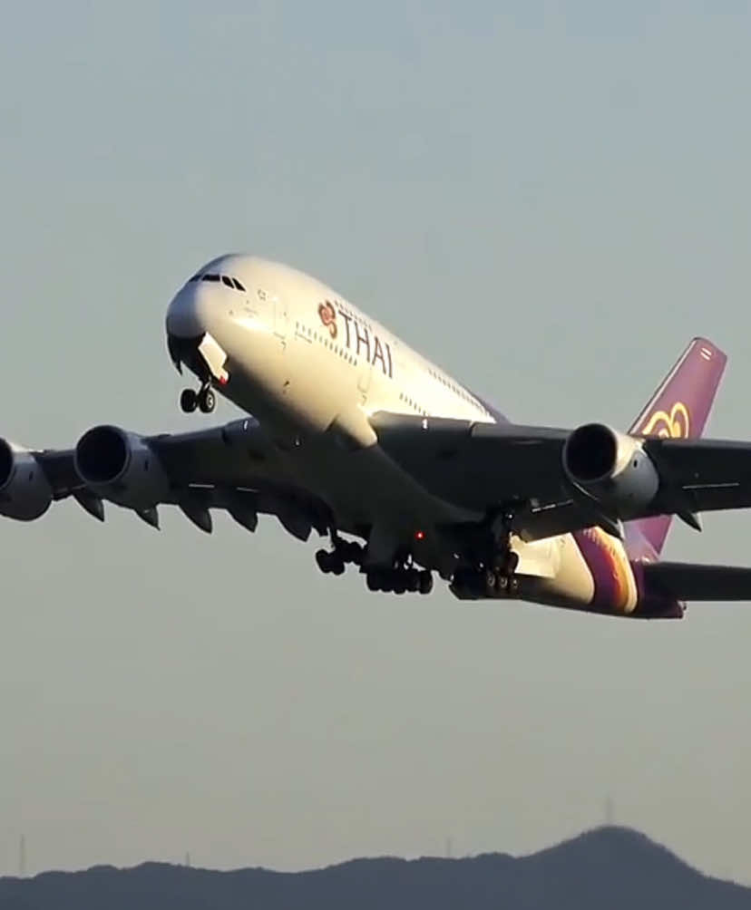 ✈️📸Thai airways ||Airbus380-800 #thaiairways #fyp #ฟีด #capcut #อย่าปิดการมองเห็น #คนรักเครื่องบิน🚀 #philippines🇵🇭tiktok #bangkok #airbusa380 #thailand #singapore #a380airbus #malaysia #boeing747 #boeing 