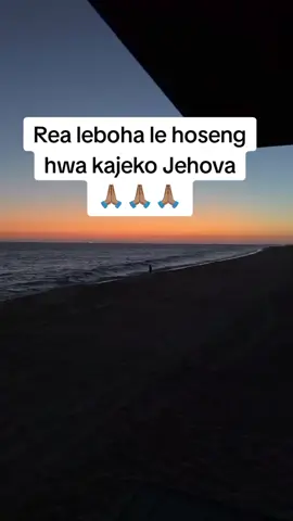 #creatorsearchinsights #tiktokcreator #foryour #fypp 