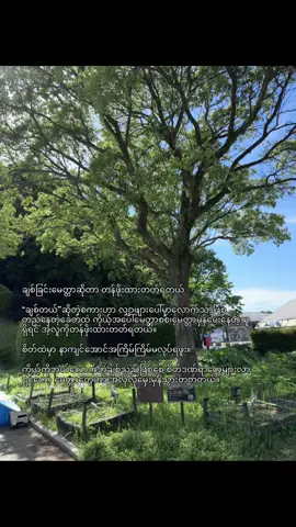 ကိုယ်ကတော့အကောင်းဆုံးချစ်ပေးခဲ့ပါတယ်…..🩶#sadfeeling #fypシ゚ #foryou #စာတို #crdvideo 