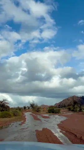 الهرب من الألم ألم بحد ذاته#صباح_الخير #حايل #حائل_بعد_حيي #explore 