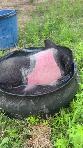 #ฟีดดดシ 