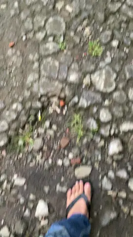 Cekk#sonictasik#sonicbiding#carekanaingmunbisa#sonicsakithati💔sonicadu☢️#fyp