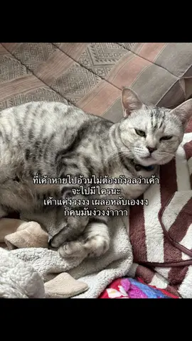 หลับเก่งขนาดนี้จาปายมีใครด้ายยย😪😴