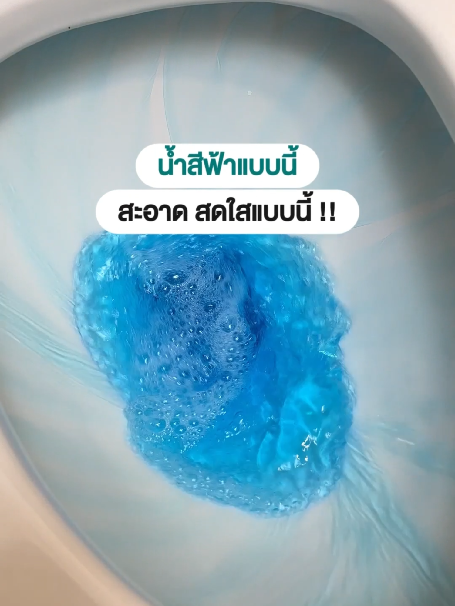 น้ำสีฟ้าแบบนี้ สะอาด สดใสแบบนี้นี่เอง 🚽🛁 #พิกัดในตะกร้า #ก้อนดับกลิ่นบลูไวท์ #Rabito #สะอาดหมดจด #ของดีต้องบอกต่อ