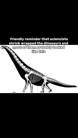 I POSTED IT AS A JOKE WTH #shrinkwrap #idk #dino #dinosaur #rawr #realistic #reality #ok #joke #nope  y'all took this WAY too serious than i expected 