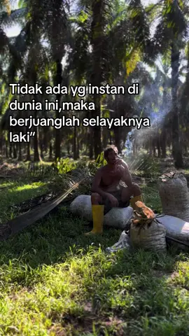 Semangat#4u #xyzbca #petaniindonesia🇮🇩🇮🇩🇮🇩🌿🌿 #masukberanda #fyppppppppppppppppppppppp #petanimuda #sawit 