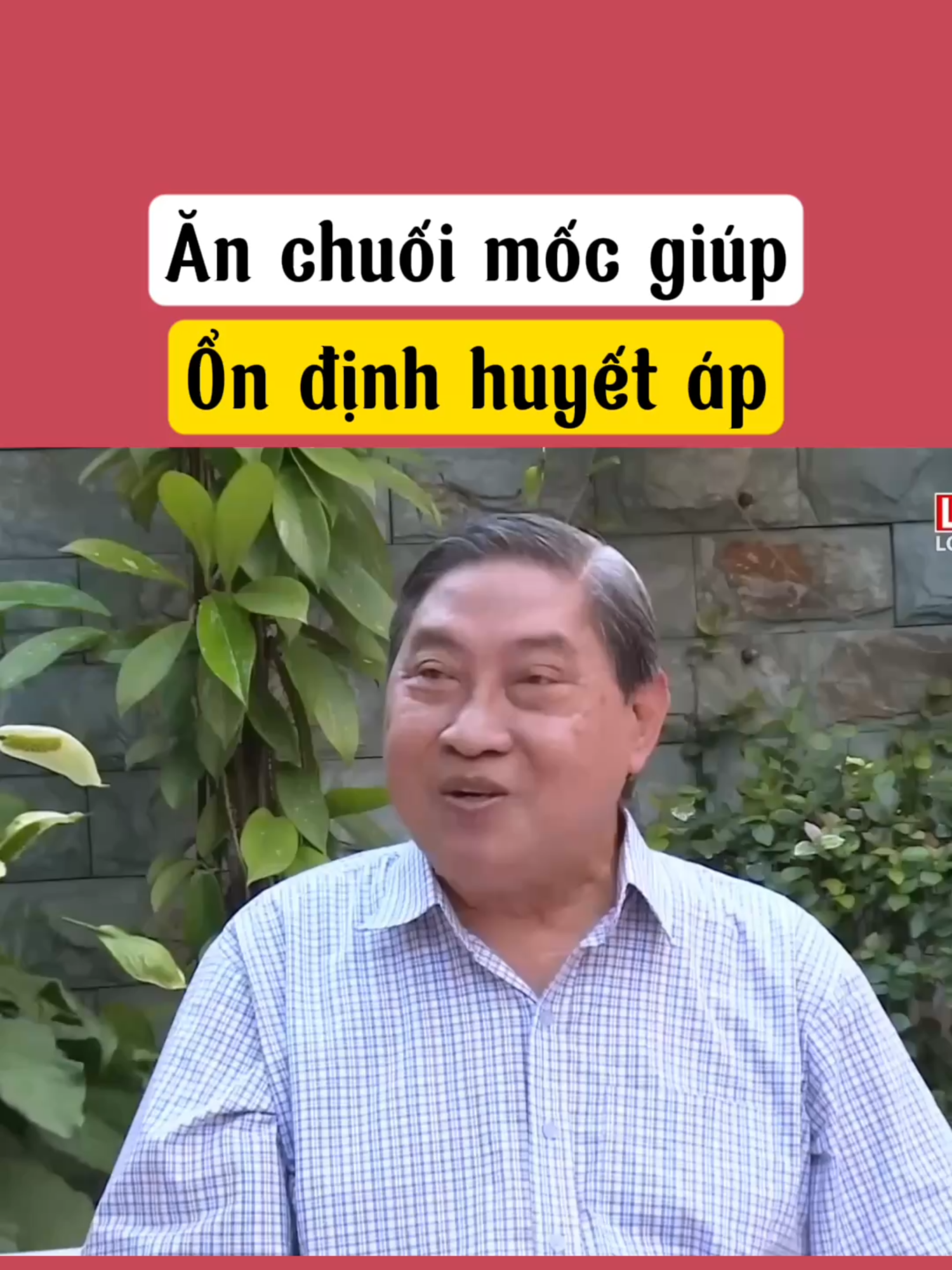 Ăn chuối giúp ổn định huyết áp #caohuyetap #huyetap #huyetapcao #tanghuyetap #apharin #nguyencongduc #baithuochay #baithuocdangian #LearnOnTikTok #xuhuong #viral