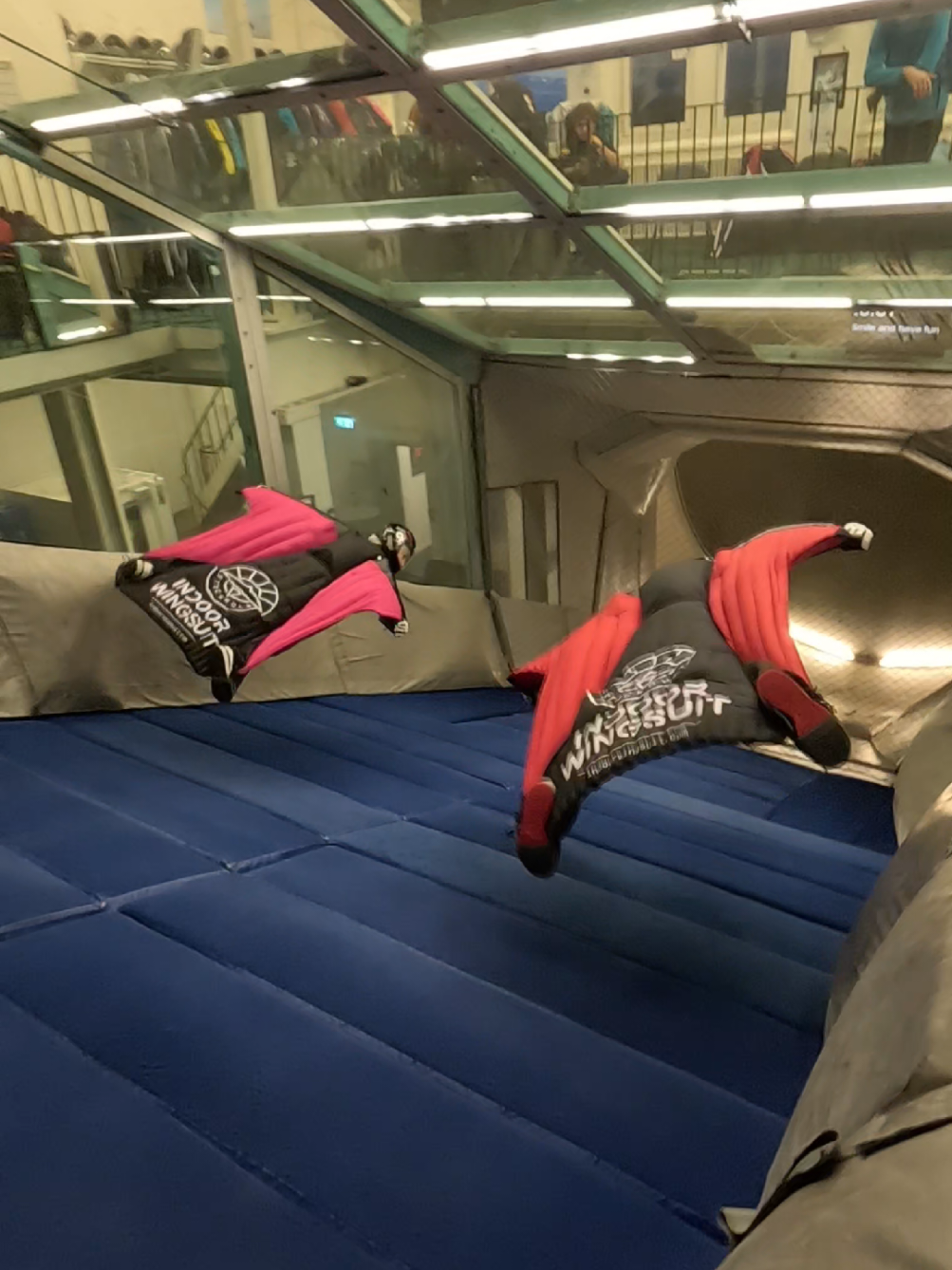 Smooth and chill in the tunnel with Nicole Bertani #skydiving #flying #indoorwingsuit #flow #basejump #wingsuit 