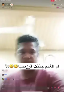 #ام_الغنم_الشامخه👑♥️ #الشعب_الصيني_ماله_حل😂😂 #ام_الغنم #ام_الغنم_الشامخه🥷🦅 #بحرين🇧🇭 #ام_الغلا #مصخره😂😂 #ام_الغلا🕊 #مصخرة #فلم 