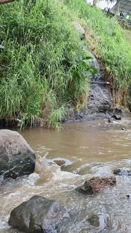 Mentahan video liburan di Lembah Pendawa Pandaan Pasuruan,,  healing bareng temen, keluarga, ayang,,  Duduk manis di sungai,,  Cocok buat prank story wa,,  Cocok buat bahan edit quotes #mentahan #mentahanvideo #sungai #airsungai #videomentahan #bahan #bahanedit #healing #liburan #jalanjalan #wisata #travel #travelling #indonesia #lembahpandawa #lembahpendawa #pandaan #pandaanpasuruan 